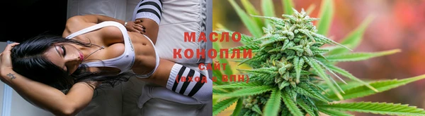 соль ск Алзамай