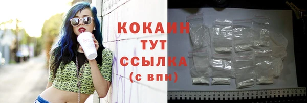 соль ск Алзамай