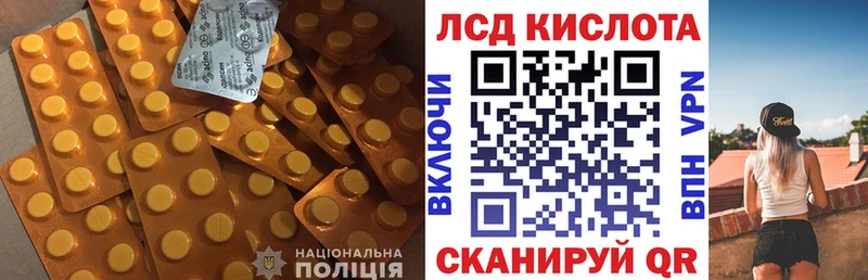 кракен зеркало  Курчалой  Лсд 25 экстази ecstasy 