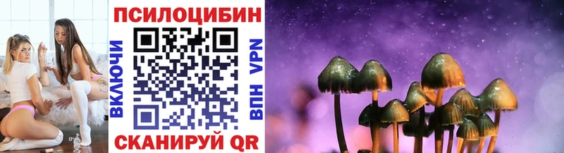 Псилоцибиновые грибы прущие грибы  Курчалой 