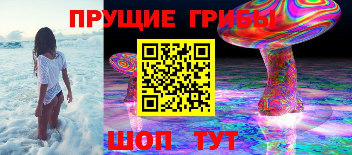Курчалой  Галлюциногенные грибы GOLDEN TEACHER  Вход с VPN 