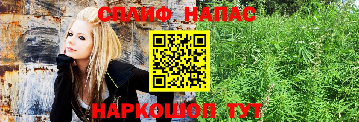 Каннабис марихуана  Вход с VPN  Марихуана Amnesia  Каннабис гибрид  Курчалой 
